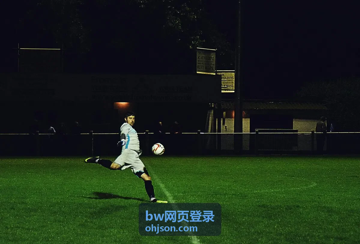 bw网页登录密码修改与二次校验流程示意