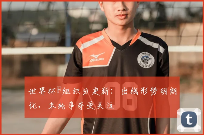 世界杯F组积分更新：出线形势明朗化，末轮争夺受关注